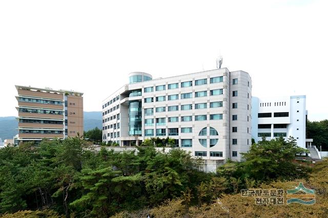 대전 가톨릭 대학교