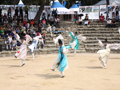 부산 민속 예술 축제